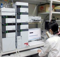 糖鎖分子プローブによる疾患関連酵素の解析