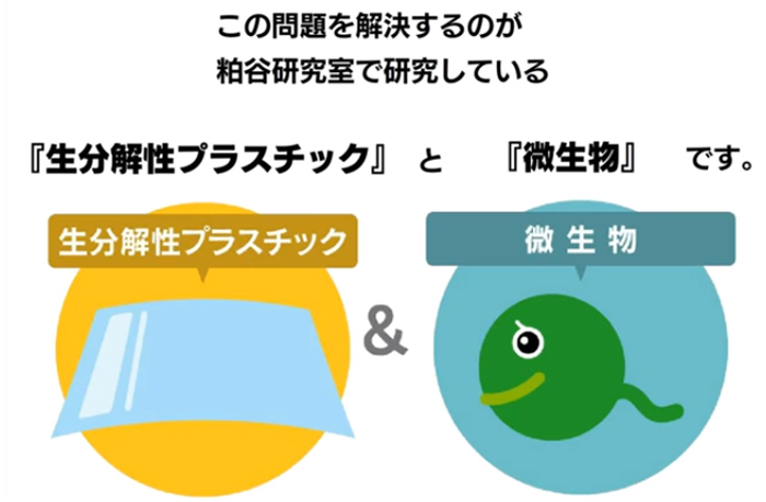 生分解性プラスチックの生物分解メカニズムの研究