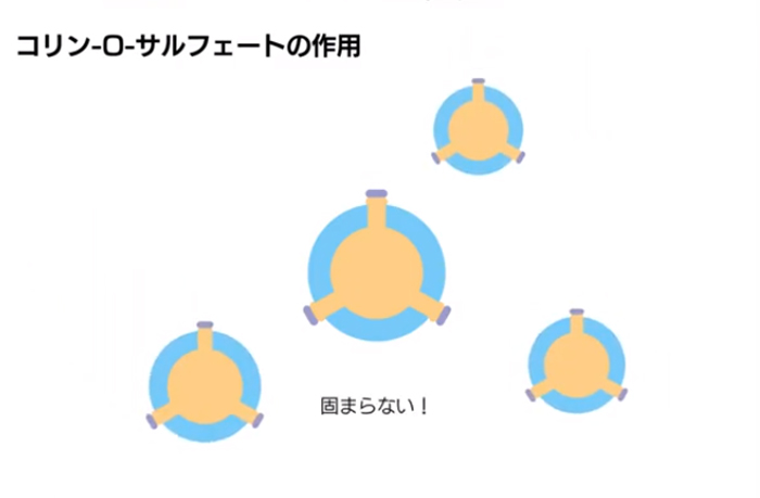 医療品開発の基礎を作る