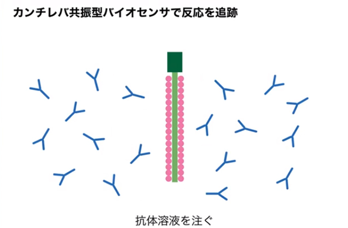 生命の代謝活動探索の新しい武器