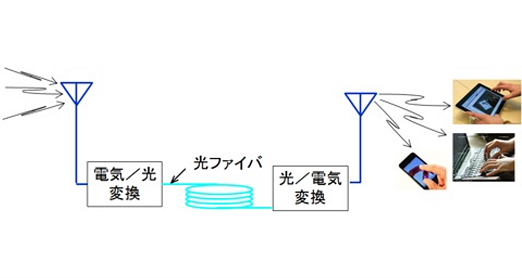 研究例